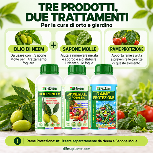 KIT Olio di Neem Biologico 1L + Sapone molle 1L + Rame protezione 1L