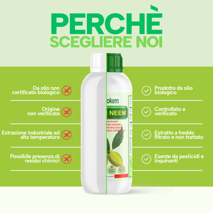 Olio di Neem solubile Fitokem 1 L, concentrato da diluire in acqua per la cura delle piante di orto e giardino.