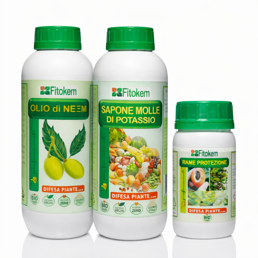 SUPER KIT OLIO DI NEEM + SAPONE MOLLE DI POTASSIO + RAME PROTEZIONE 250 ML
Kit per una protezione completa contro insetti e parassiti - corroborante, antiparassitario e anticrittogamico
