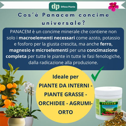 PANACEM Concime Granulare Lenta Cessione a Base di Macroelementi Concime Universale Granulare Inorganico, Fertilizzante Piante Verdi, Prato, Agrumi, Alberi da Frutto, Orto, Fiori