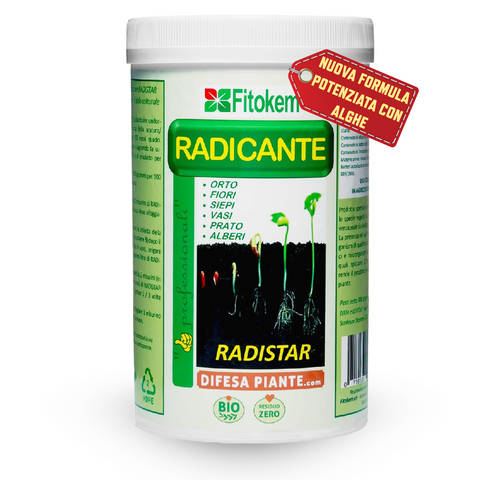 Radistar Radicante naturale a base di Micorrize per orto e piante | Nuova Formula potenziata con Alghe |