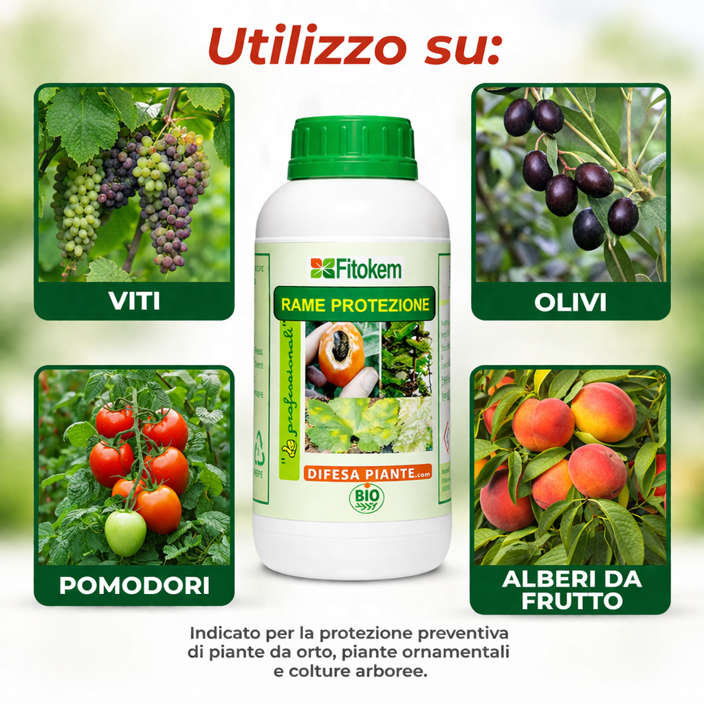 Rame-protezione-250mL-SUPER-KIT-protezione-completta-contro-insetti-parasiti-corroborante-antiparassitario-anticrittogamico-utilizzo-Fitokem-Difesa-Piante