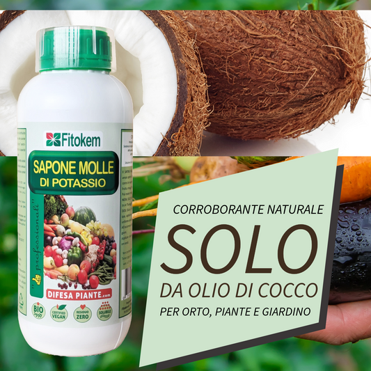 Sapone molle di potassio 1L | Per piante | Fitokem