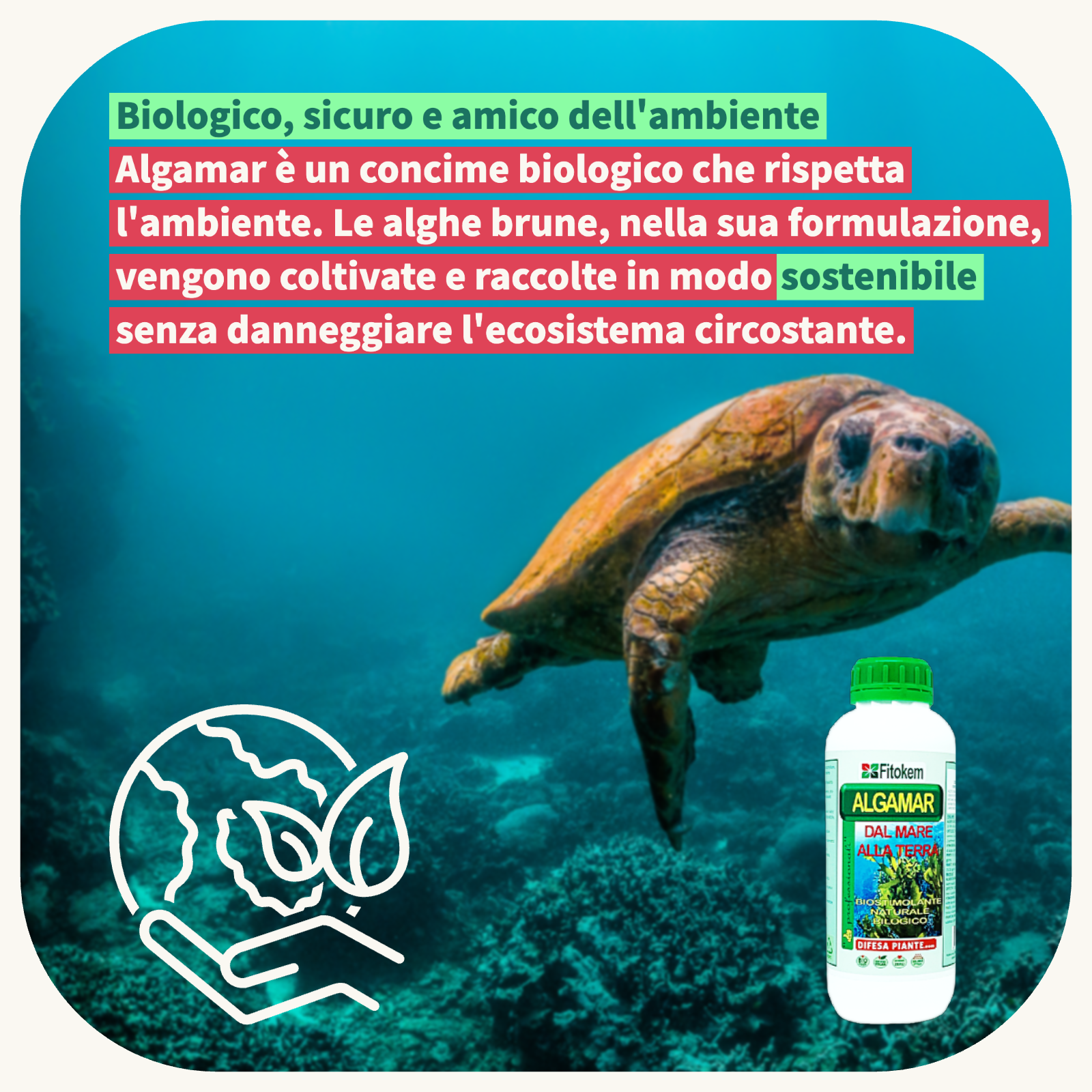 ALGAMAR - Concime Biologico Biostimolante per piante con alghe brune - 1L Fitokem Difesa piante olio di neem biologico naturale
