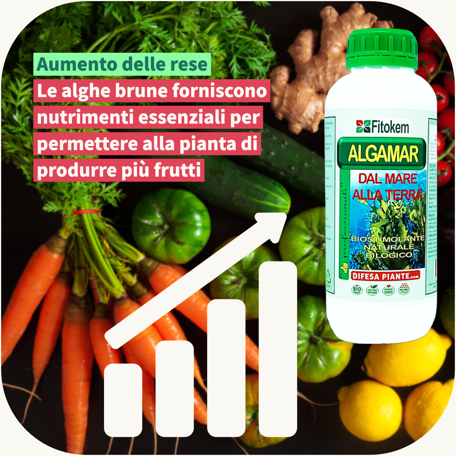 ALGAMAR - Concime Biologico Biostimolante per piante con alghe brune - 1L Fitokem Difesa piante olio di neem biologico naturale