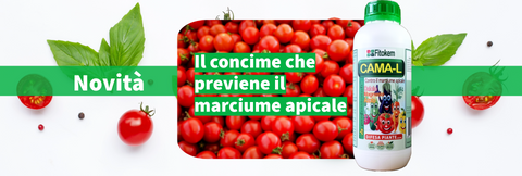 cama-l concime contro marciume apicale del pomodoro per orto ortaggi fitokem difesa piante