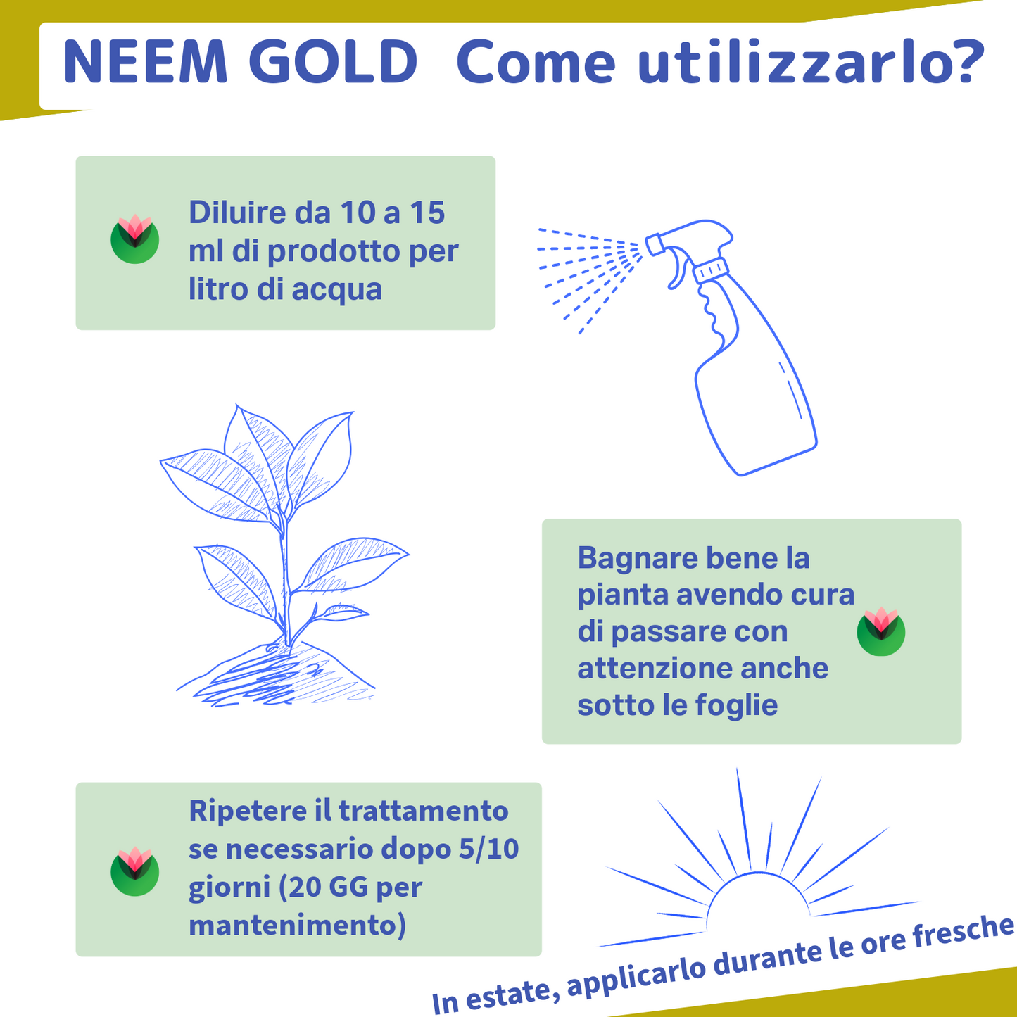 Olio di Neem Gold Biologico | Con Zeolite Chabasite | Fitokem