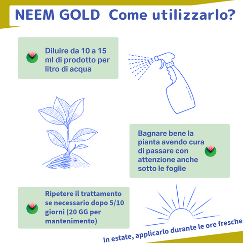 Olio di Neem Gold Biologico | Con Zeolite Chabasite | Fitokem