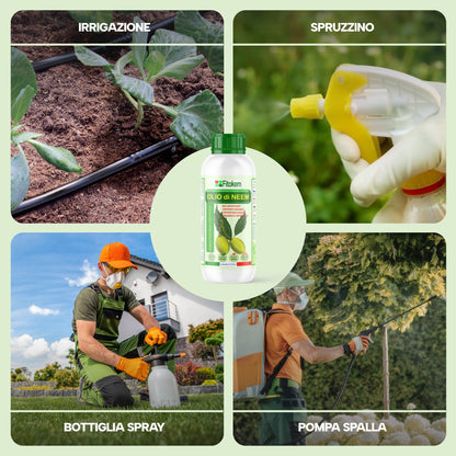 Olio di Neem solubile Fitokem 1 L, concentrato da diluire in acqua per la cura delle piante di orto e giardino.