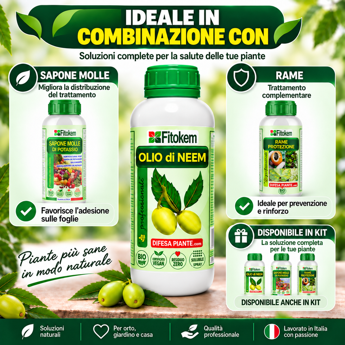 Olio di Neem Fitokem in combinazione con Sapone Molle di Potassio e Rame
