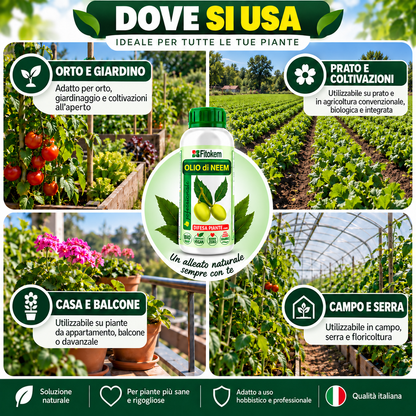 Dove usare l'Olio di Neem Fitokem: orto, giardino, casa, balcone, campo e serra