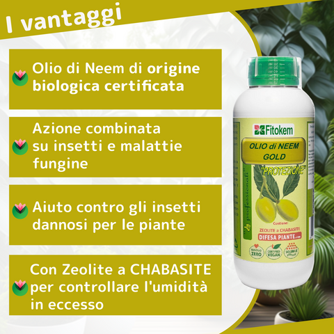 Olio di Neem Gold Biologico | Con Zeolite Chabasite | Fitokem