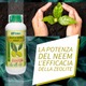 Olio di Neem Gold Biologico | Con Zeolite Chabasite | Fitokem