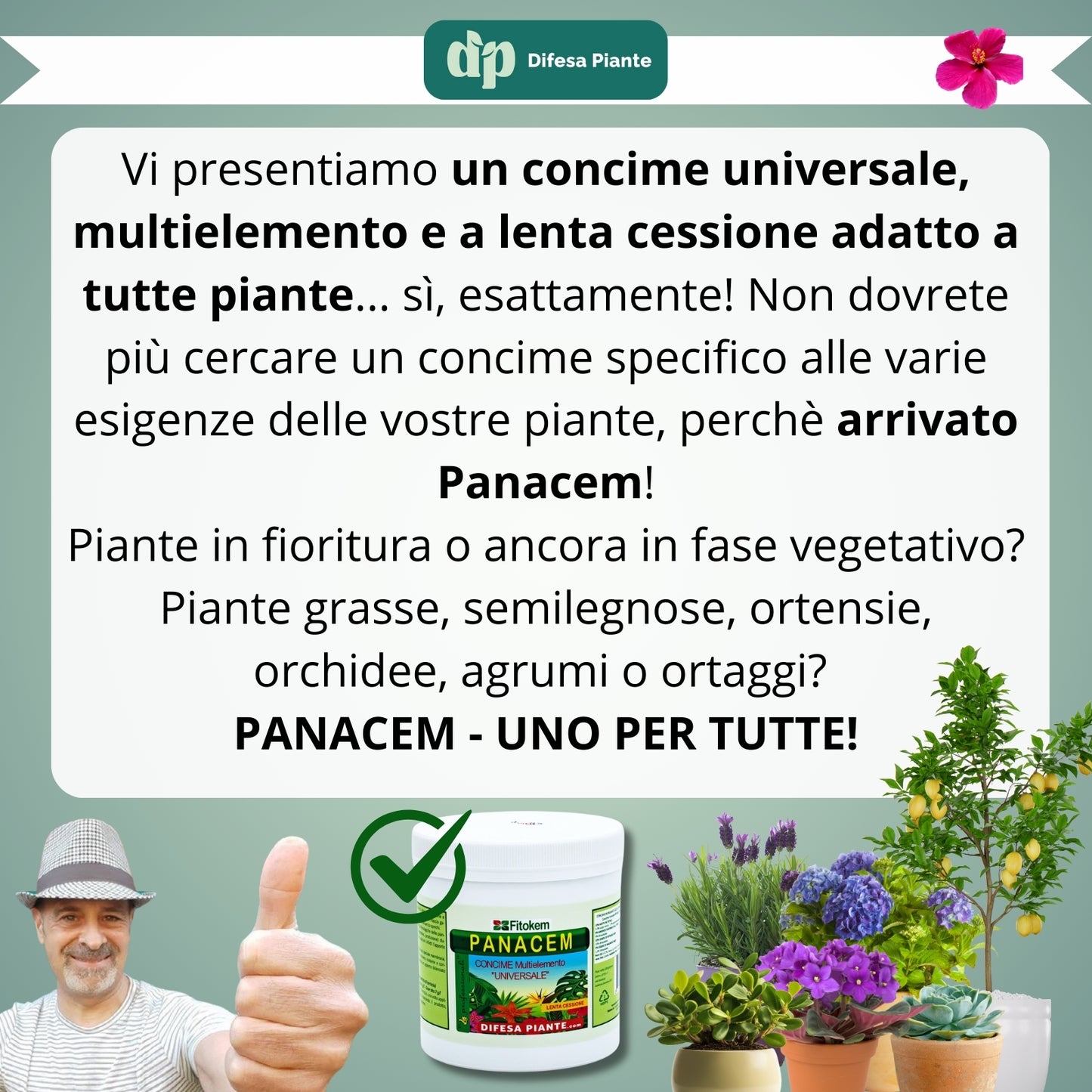 PANACEM Concime Granulare Lenta Cessione a Base di Macroelementi Concime Universale Granulare Inorganico, Fertilizzante Piante Verdi, Prato, Agrumi, Alberi da Frutto, Orto, Fiori