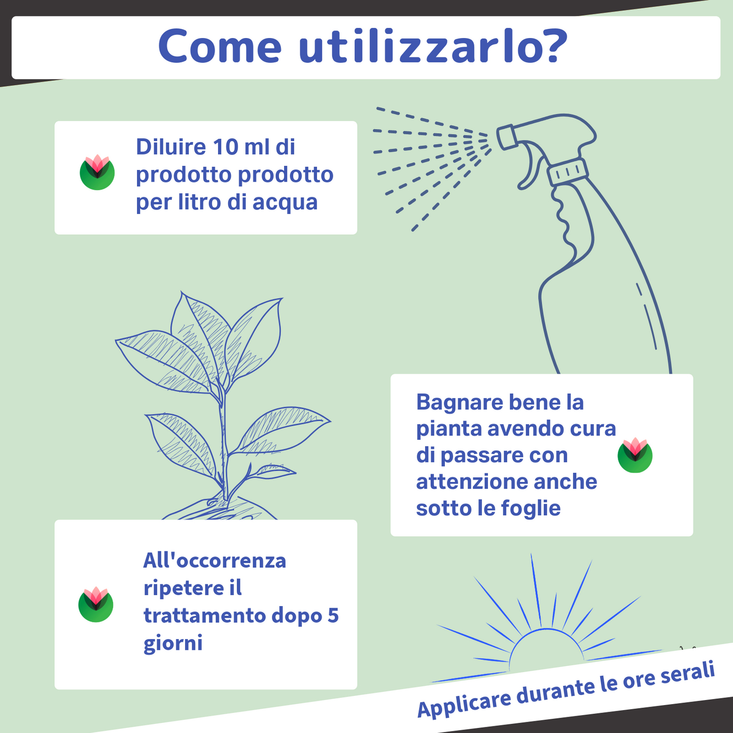 Sapone molle di potassio 1L | Per piante | Fitokem