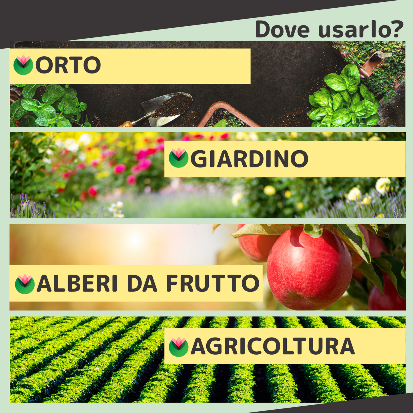 Sapone molle di potassio 1L | Per piante | Fitokem