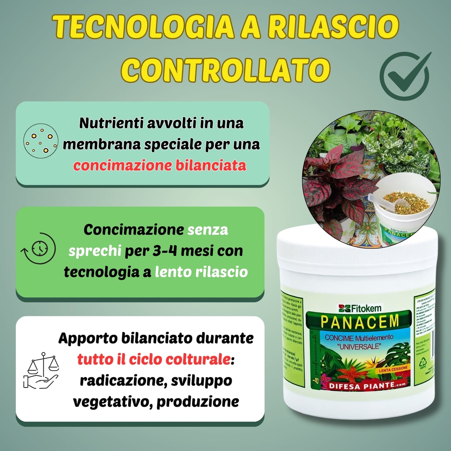 PANACEM Concime Granulare Lenta Cessione a Base di Macroelementi Concime Universale Granulare Inorganico, Fertilizzante Piante Verdi, Prato, Agrumi, Alberi da Frutto, Orto, Fiori