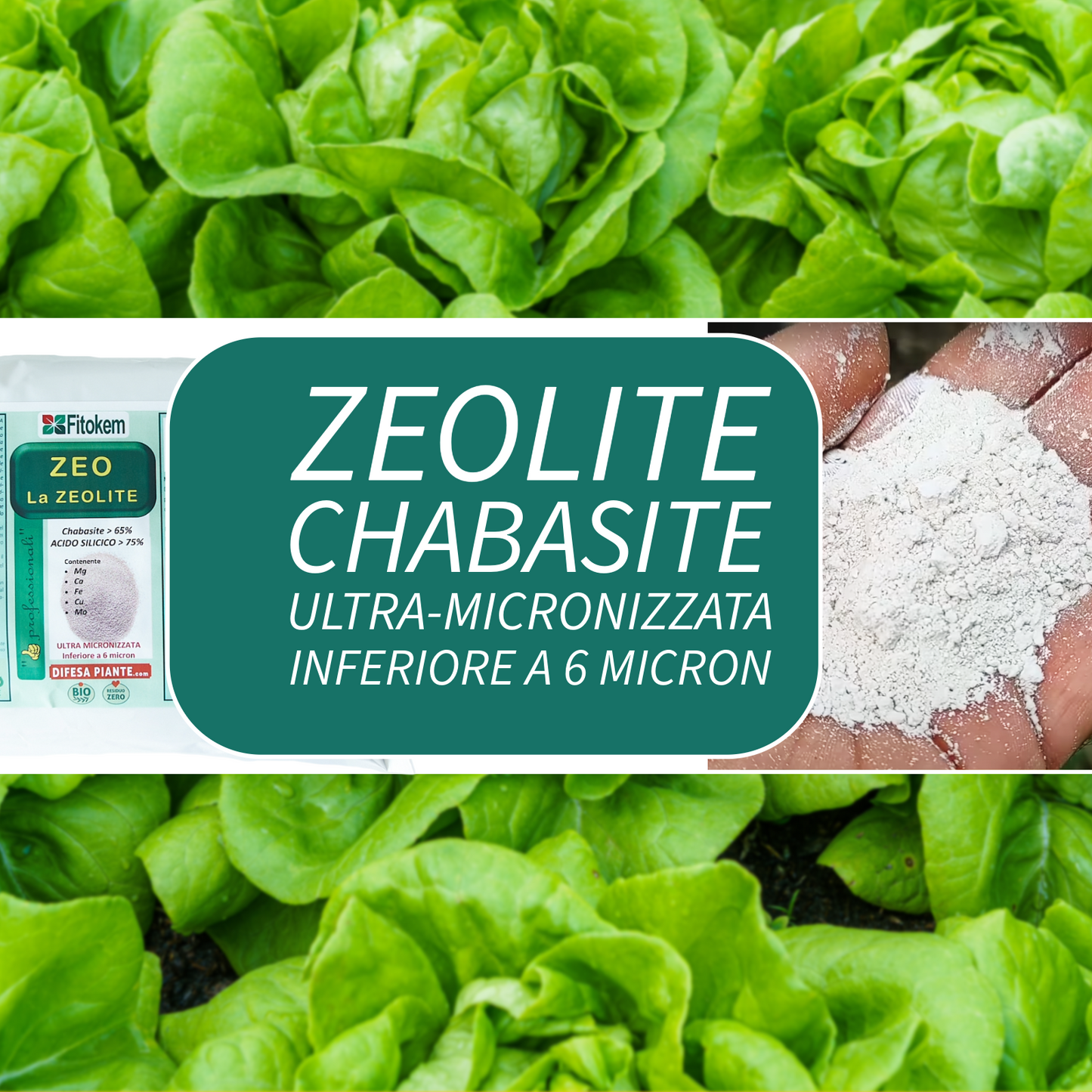 Zeolite Chabasite Micronizzata - 3 Kg | Ammendante Per piante | Fitokem