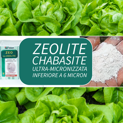 Zeolite Chabasite Micronizzata | Ammendante Per Piante | Fitokem