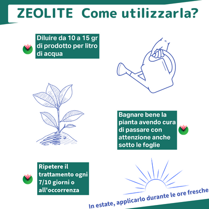 Zeolite Chabasite Micronizzata | Ammendante Per Piante | Fitokem