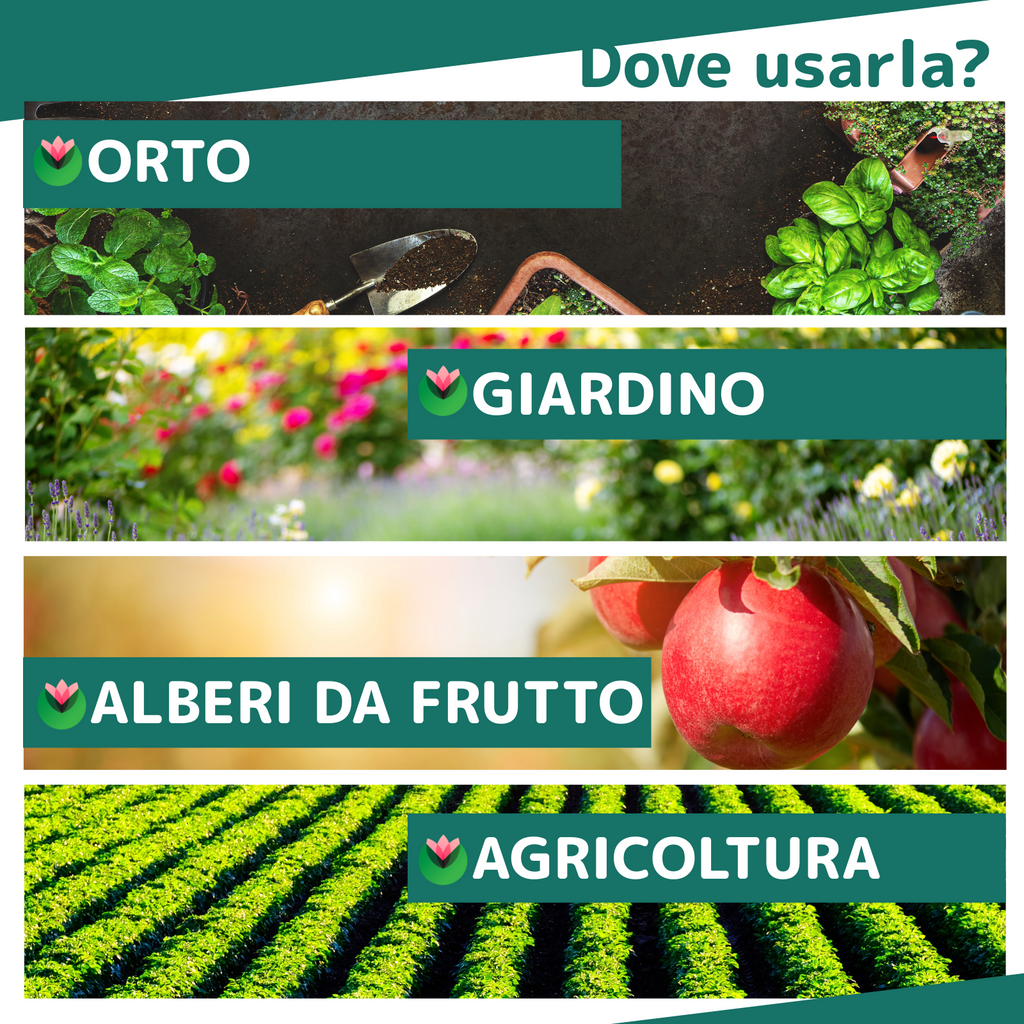 Zeolite Polvere 6kg Zeolite Chabasite Micronizzata 6kg - 20micron Per Agricoltura Biologica Zeolite Polvere Uso Umano - Foto 8