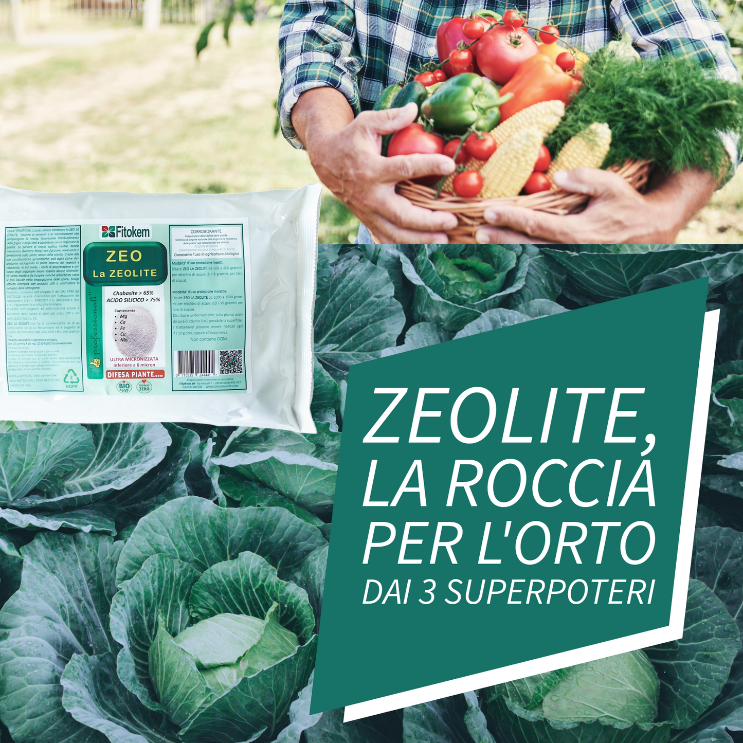 Zeolite Chabasite Micronizzata - 3 Kg | Ammendante Per piante | Fitokem