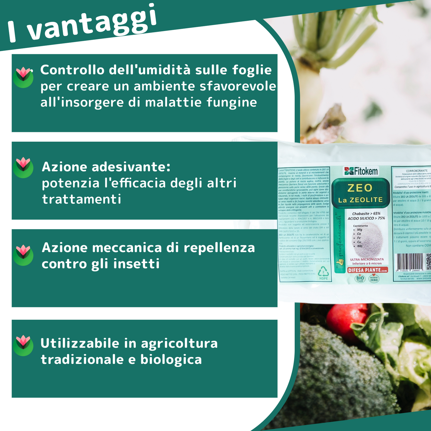 Zeolite Chabasite Micronizzata - 3 Kg | Ammendante Per piante | Fitokem