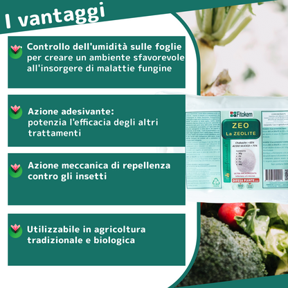 Zeolite Chabasite Micronizzata | Ammendante Per Piante | Fitokem