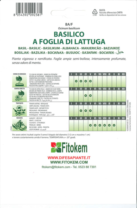 Semenze Basilico a foglia di lattuga - Sementi - Semi - Fitokem Difesa piante olio di neem biologico naturale