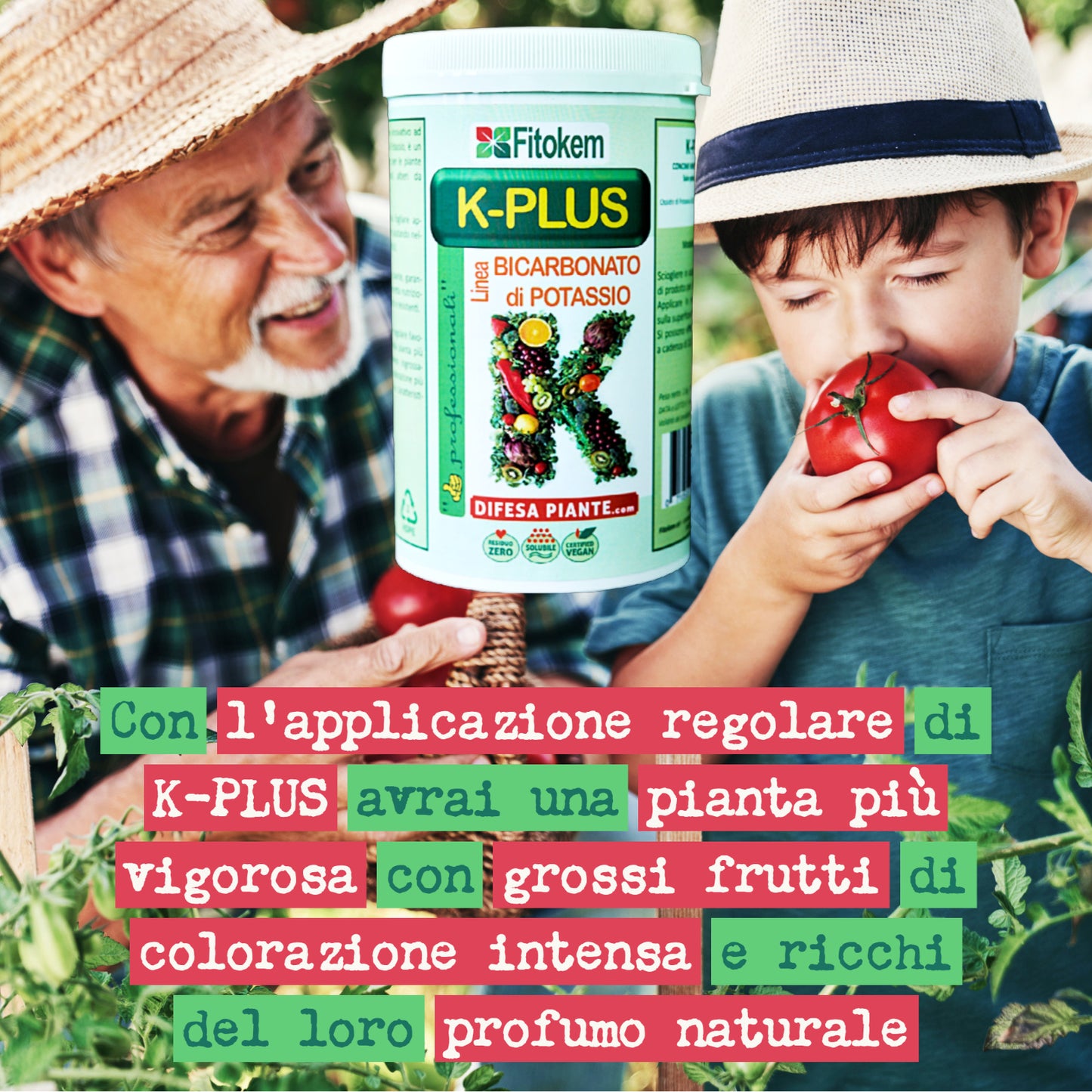 Bicarbonato di potassio concime minerale K-Plus - 1kg - Fitokem Difesa piante olio di neem biologico naturale