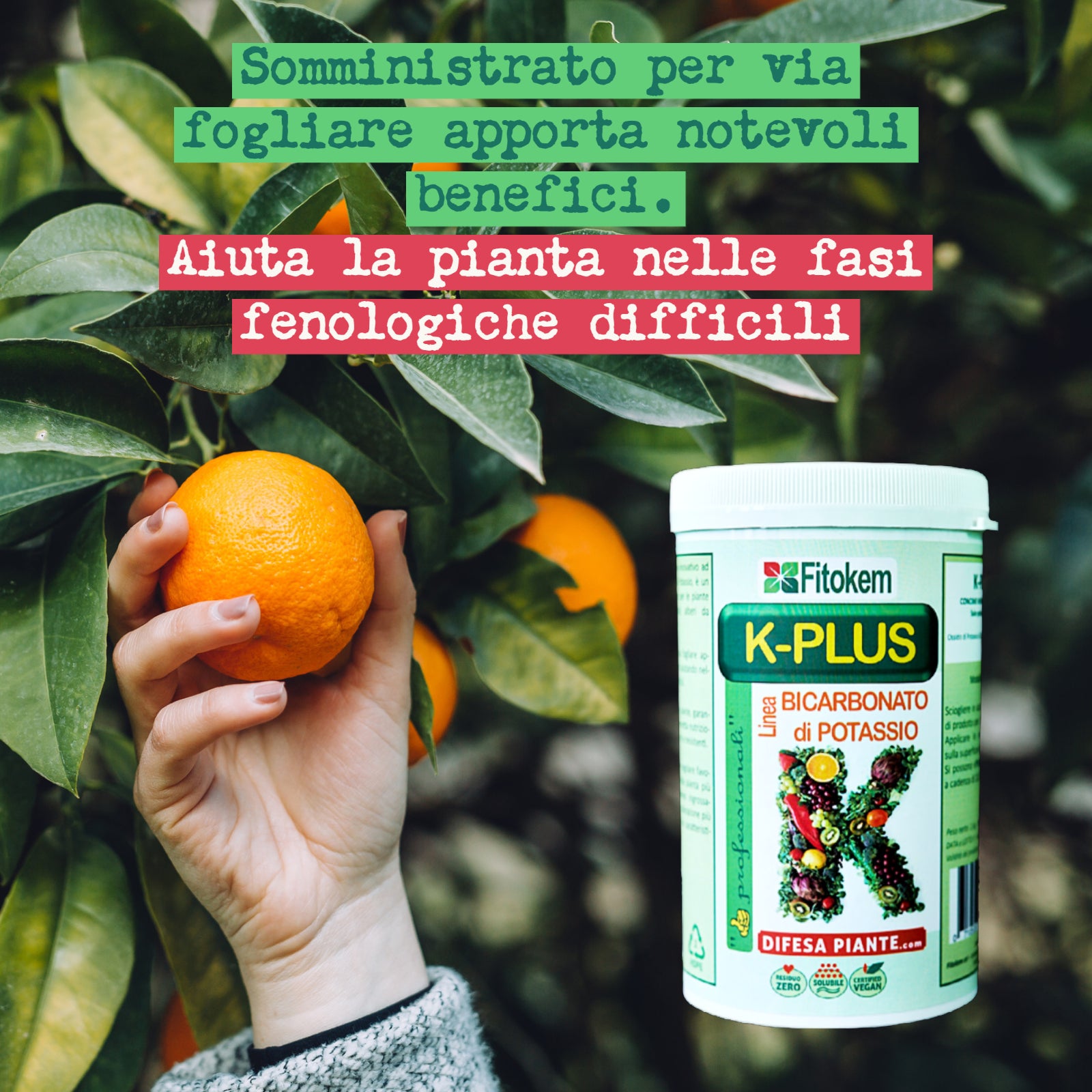 Bicarbonato di potassio concime minerale K-Plus - 1kg - Fitokem Difesa piante olio di neem biologico naturale