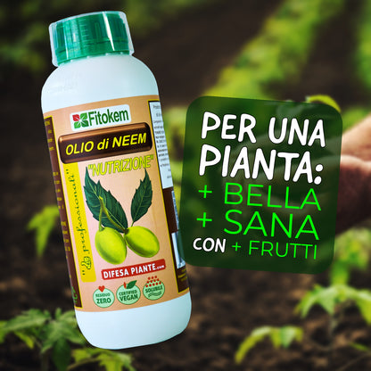 Olio di neem "NUTRIZIONE" 1L - FITOKEM - Biostimolante fogliare Difesa piante olio di neem biologico naturale