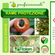 Rame protezione - Contro funghi e batteri 250ML Difesa piante biologico naturale