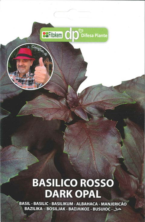 Semenze Basilico Rosso Dark Opal - Sementi - Semi - Fitokem Difesa piante olio di neem biologico naturale