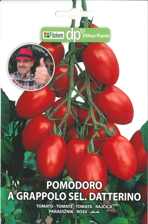 Semenze Pomodoro a grappolo sel Datterino - Sementi - Semi - Fitokem Difesa piante 