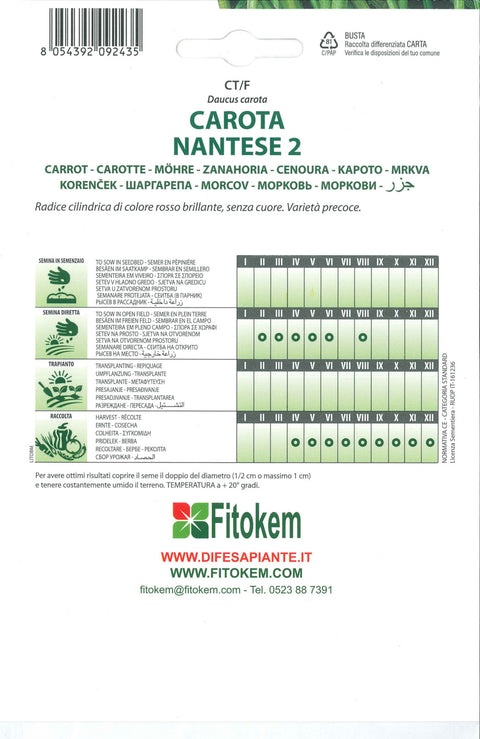 Semenze Carota Nantese 2 - Sementi - Semi - Fitokem Difesa piante 
