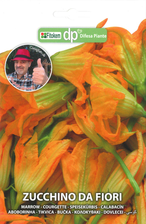 Semenze Zucchino da fiori - Sementi - Semi - Fitokem Difesa piante olio di neem biologico naturale