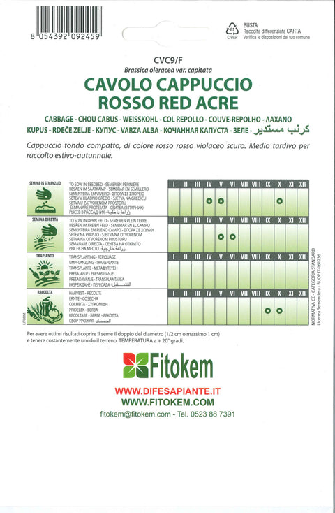 Semenze Cavolo Cappuccio Rosso Red Acre - Sementi - Semi - Fitokem Difesa piante 