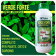 Verde Forte Concime liquido multielemento - 1 litro Difesa piante olio di neem biologico naturale