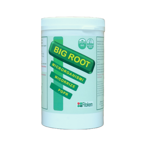 BIG ROOT - 1KG - stimolante dell'apparato radicale Difesa piante olio di neem biologico naturale